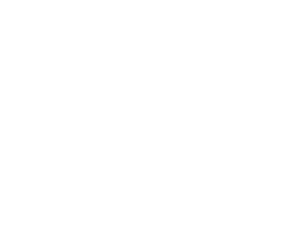 Der Immoanalyst Logo